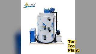 Controllo PLC del produttore di impianti di ghiaccio in scaglie Ton